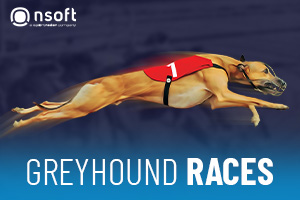 Greyhound Races