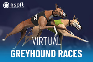 Virtual Greyhound Races