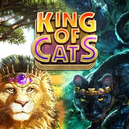 King of Cats