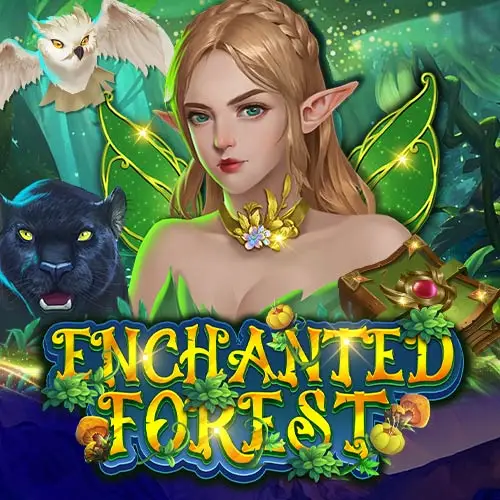Enchanted Forest