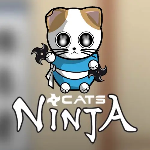 Ninja Cats