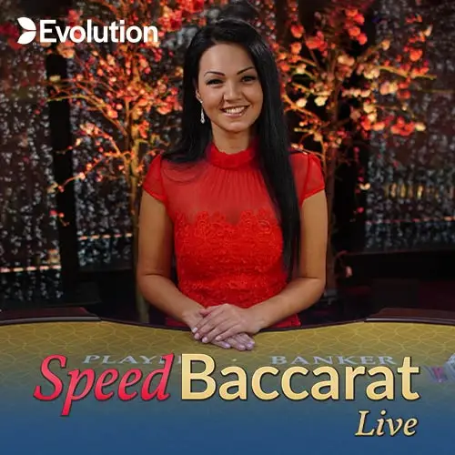 Speed Baccarat 14