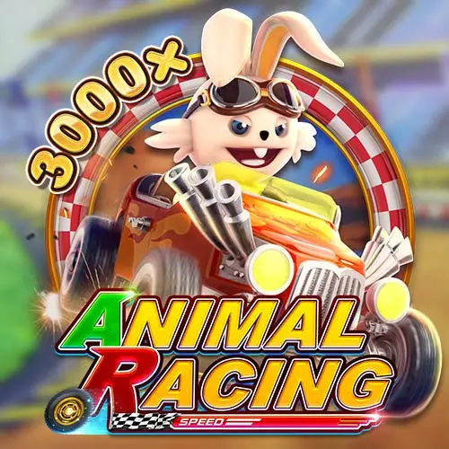Animal Racing