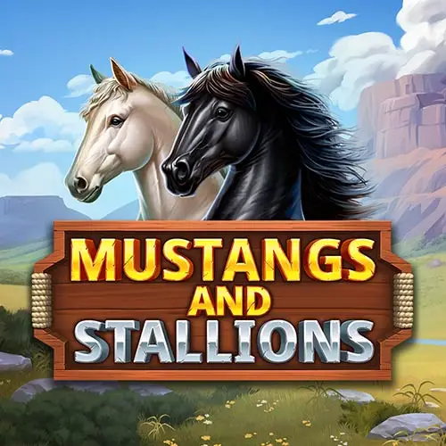 Mustang and Stallions