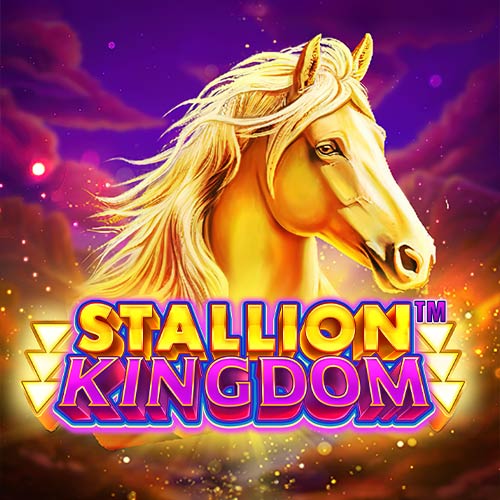 Stallion Kingdom