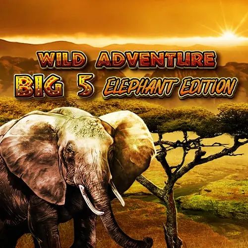 Wild Adventures Big 5 Elephant Edition