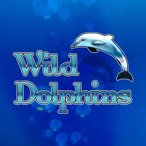 Wild Dolphins