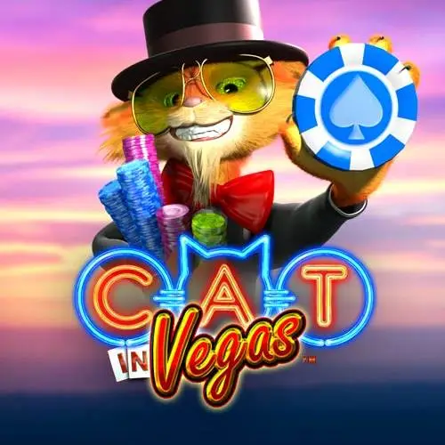 Cat in Vegas