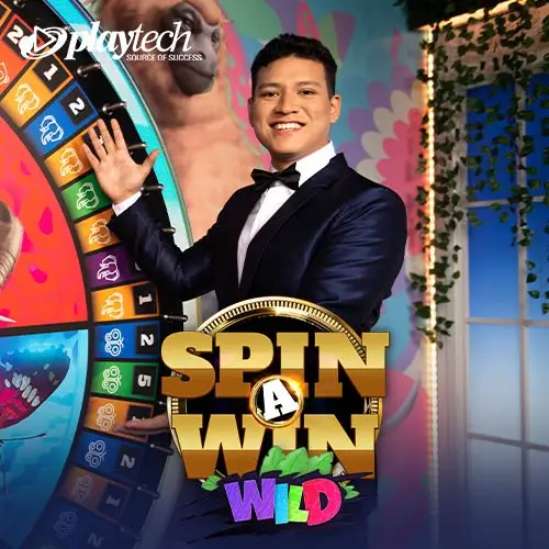 Spin a Win Wild