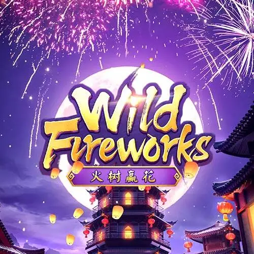 Wild Fireworks