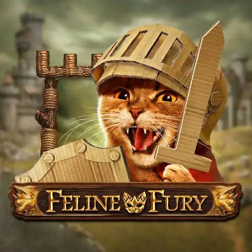 Feline Fury