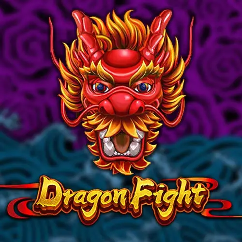 Dragon Fight