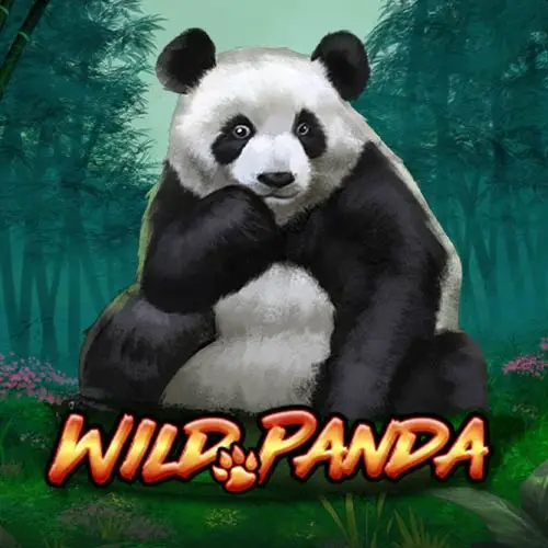 Wild Panda