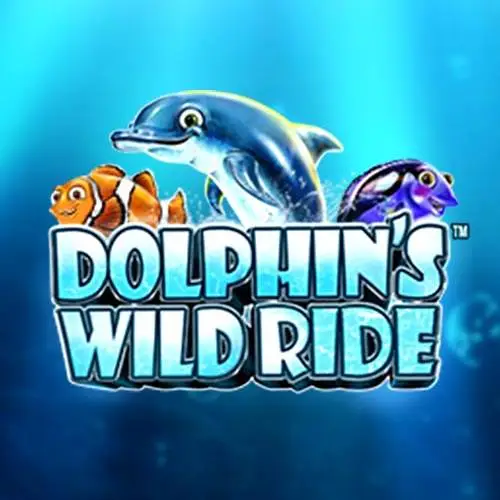 Dolphins Wild Ride