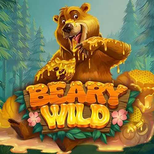 Beary Wild