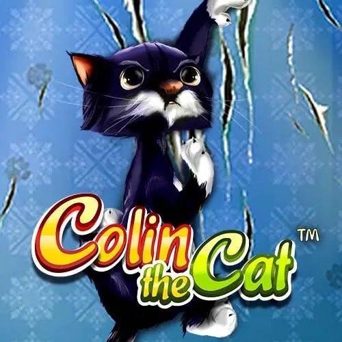 Colin The Cat